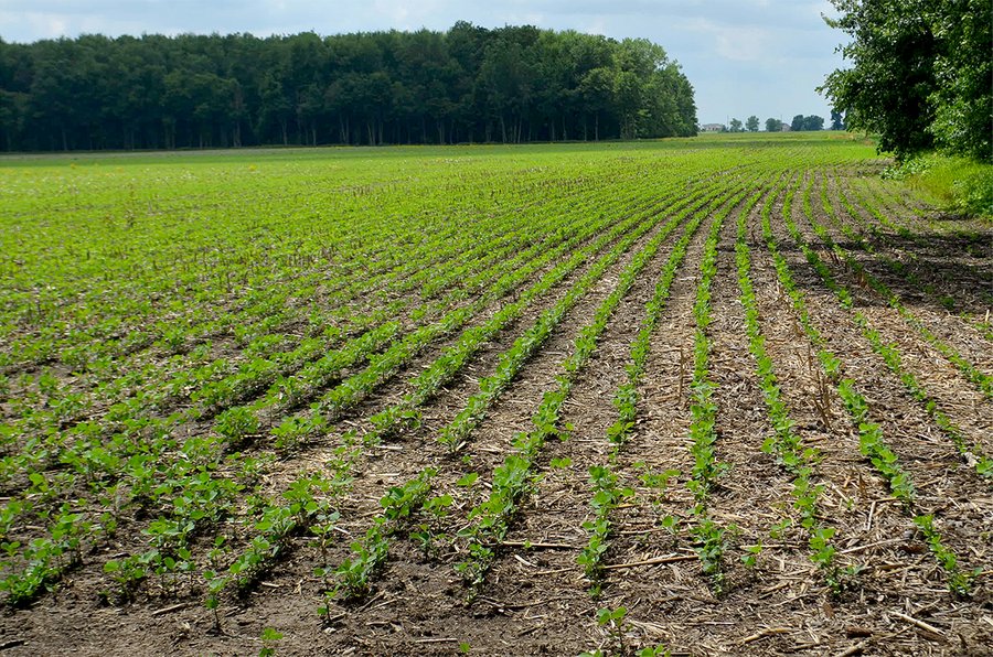 LAND AUCTION - 700+/- ACRES OFFERED IN 16 TRACTS IN ALLEN COUNTY, INDIANA